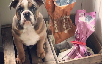 Как хранить корм? Как хранить корм?